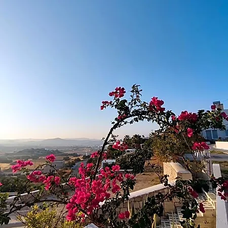 Otel Agnanti Milos Island